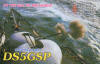 DS5GSP