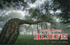 HL3EFM_21M