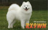 RX9WN_3