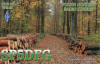 SP5DFG