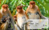 9W6EZ_qsl