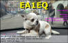 EA1EQ