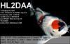 HL2DAA