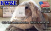 KW2E_qsl