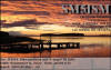 SM5ISM