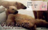 UA3GJM_qsl