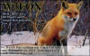 W3FOX