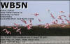 WB5N_2