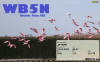 WB5N_qsl