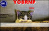 YO8RNP